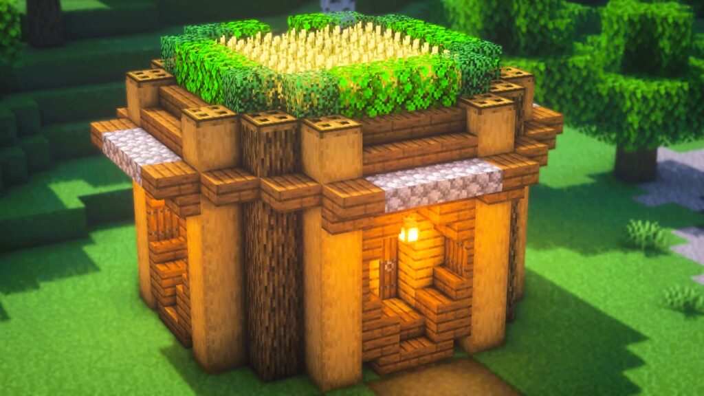 Building Your First Shelter