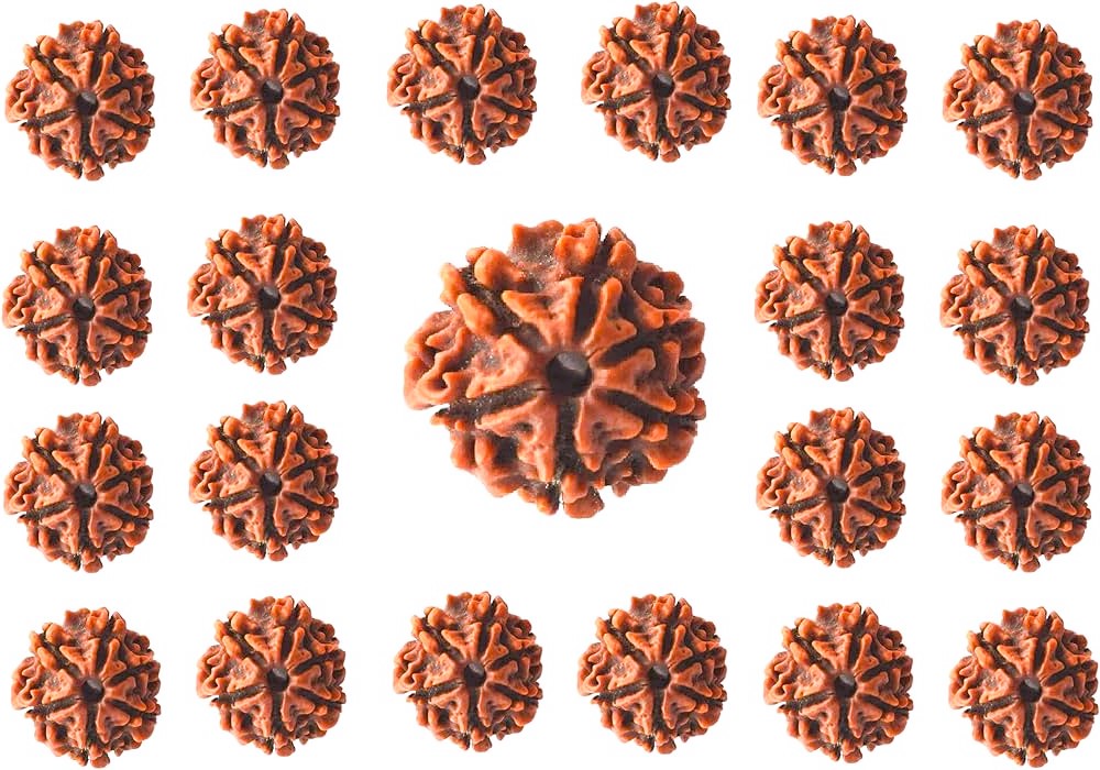 Ayurvedic Insights on Rudraksha