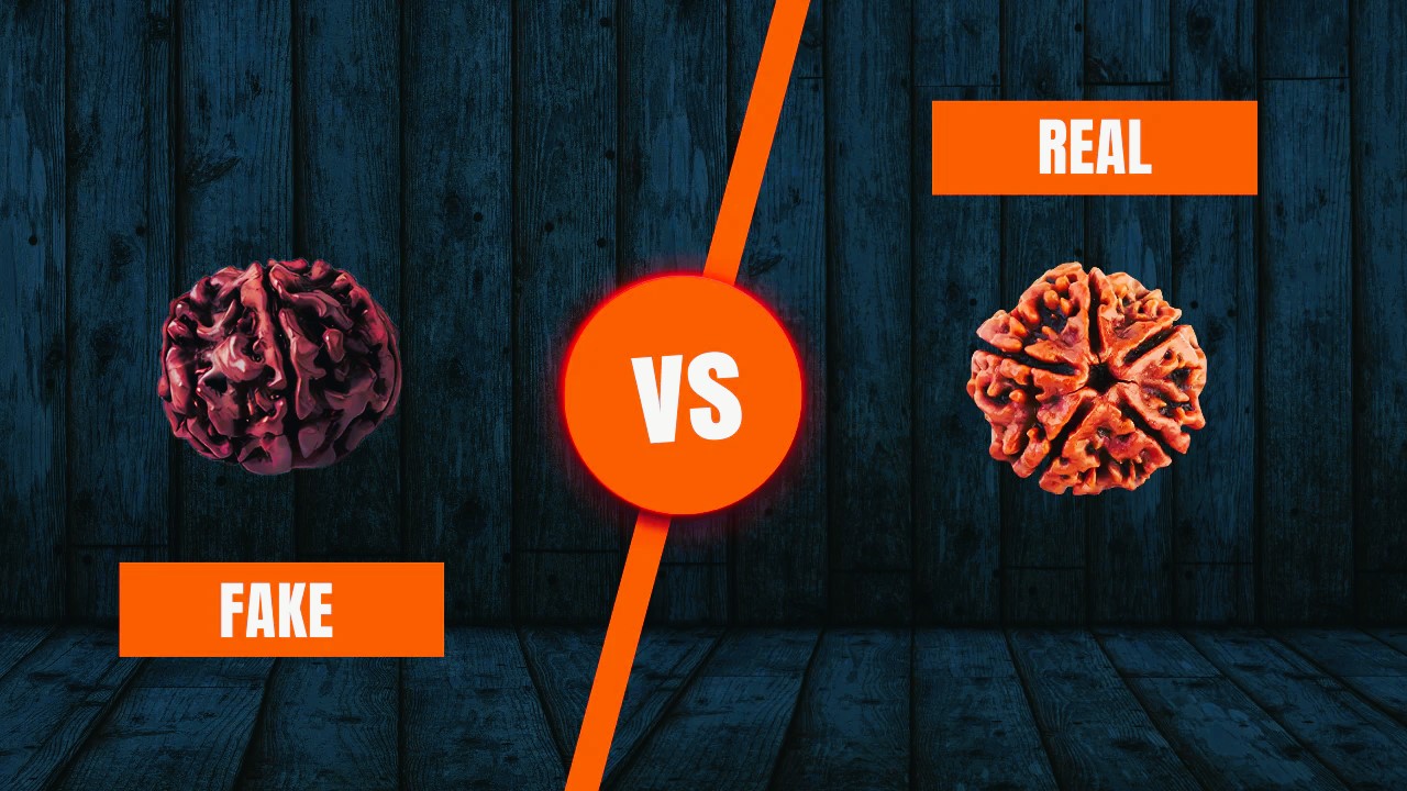 Rudraksha Secrets Revealed: Real vs Fake Beads