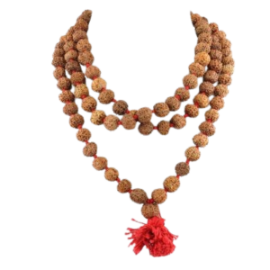 Rudraksha Beads png